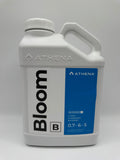 Athena Bloom B 1 Gal
