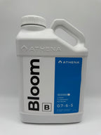 Athena Bloom B 1 Gal