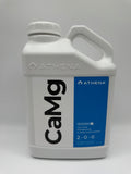 Athena CaMg 1 Gal