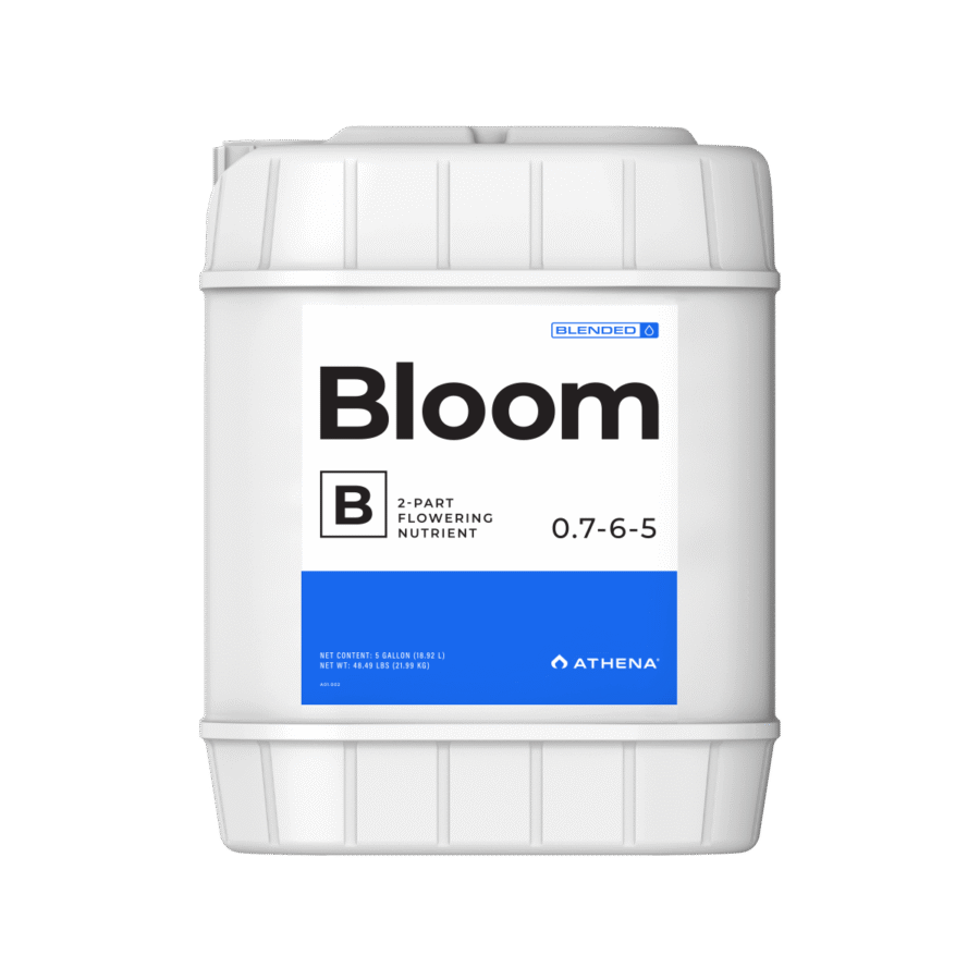 Athena Bloom B 5GAL